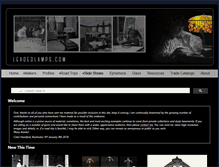 Tablet Screenshot of leadedlamps.com